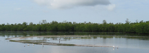 Sanibel Island