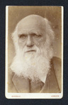 Charles Darwin CDV