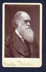 Charles Darwin CDV